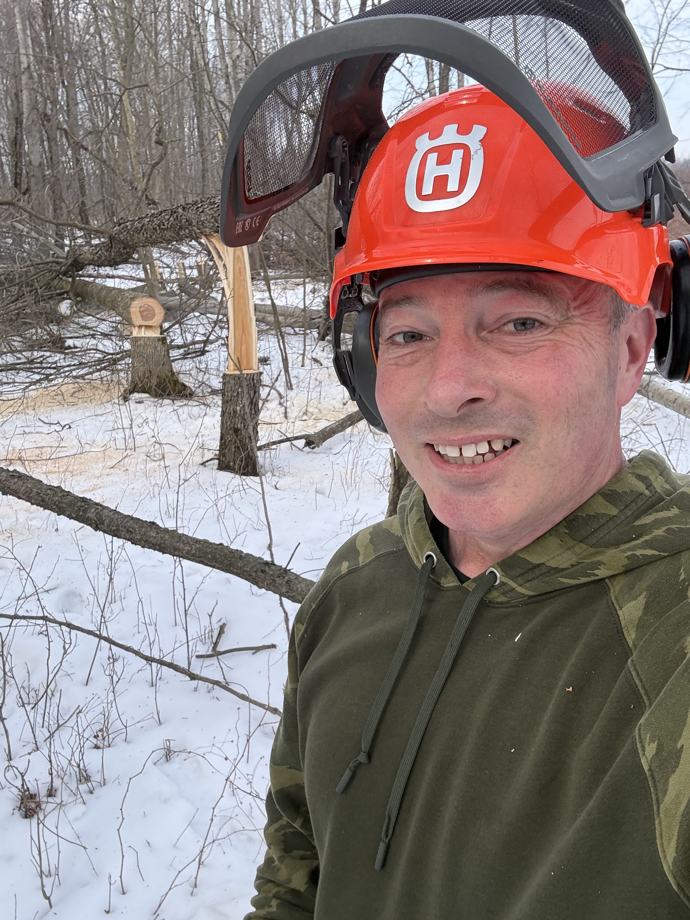 Hinge cutting habitat work in Michigan woods