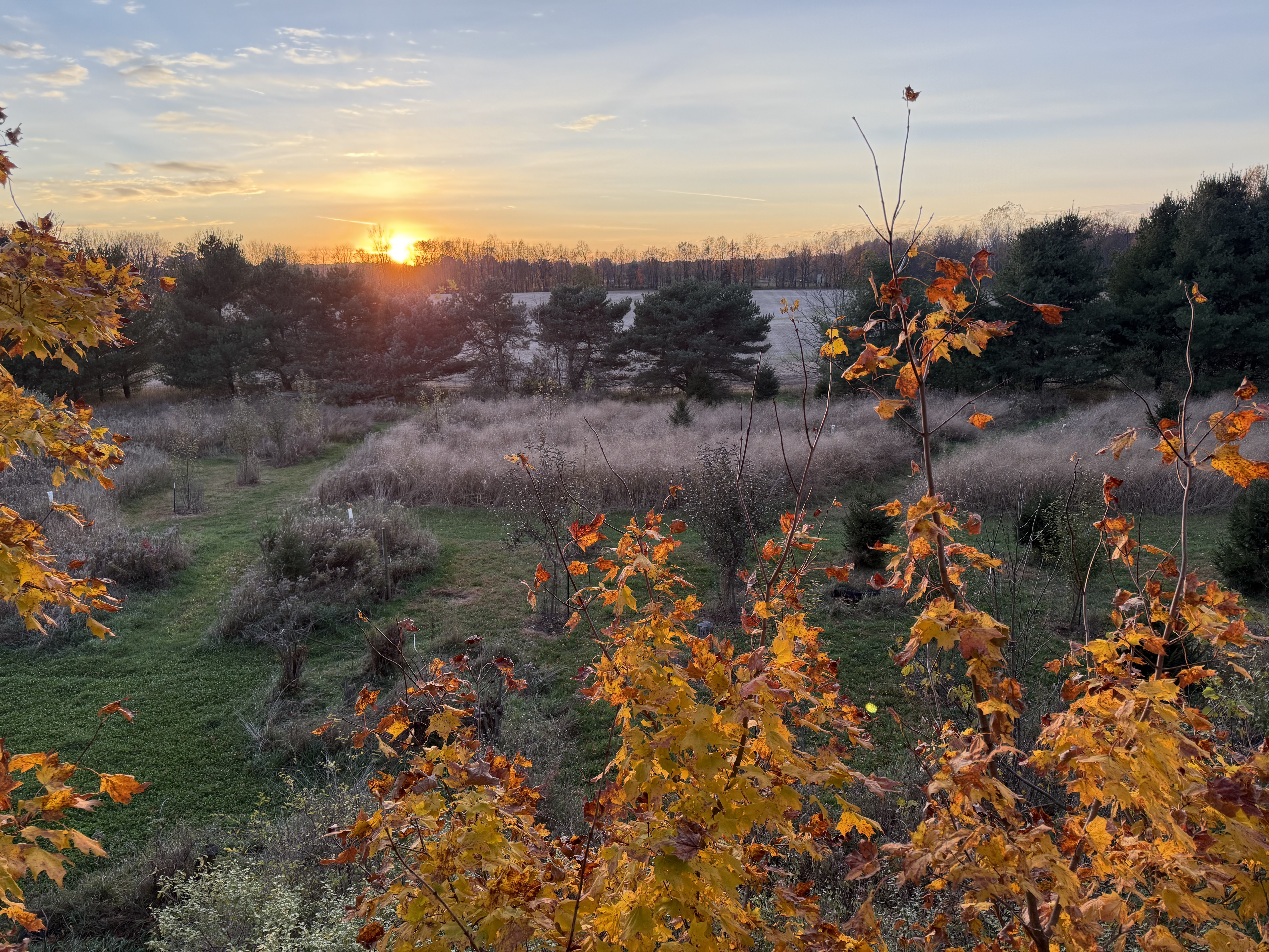 Fall habitat overview — Michigan hunting property assessment